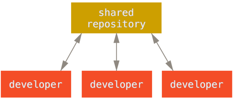 Shared Repo